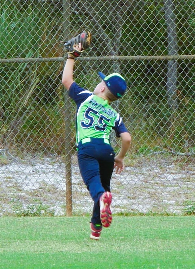 P1040243(cropped)